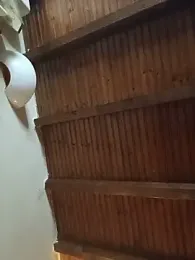 SissiElizabeth — Stripchat stream photo (Aug 2026)