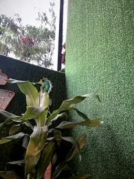 DemiSins — Stripchat stream photo (Dec 2025)