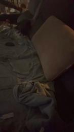 pastragonMadrid — Cam4 stream photo (Sep 2026)