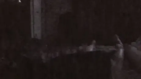 CEGEIL — Stripchat stream photo (Aug 2026)