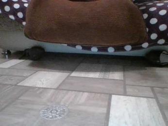 Dooomina35 — Bongacams stream photo (Dec 2025)