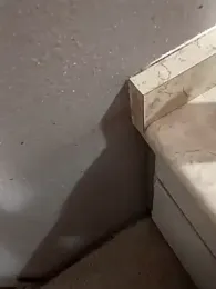 Crossedsissy — stripchat