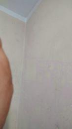 Kinglsves — Cam4 stream photo (Aug 2026)