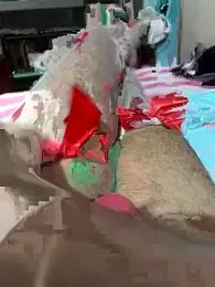 onelamalmi — Stripchat profile photo