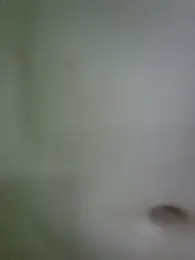 Valerious180 — Stripchat stream photo (Jul 2026)