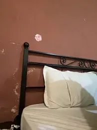 Vihaaanfucks — stripchat