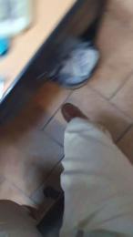 The_Thick_Cock — вебкам-модель онлайн на cam4