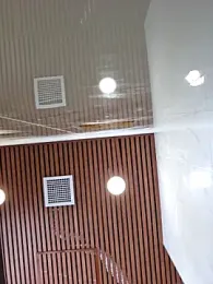 ovo0810 — Stripchat stream photo (Mar 2026)