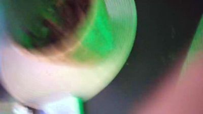 pallopinco2 — Cam4 stream photo (Nov 2025)