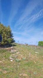 Bellakatalina — вебкам-модель онлайн на cam4