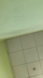 luisito345 — Cam4 profile photo