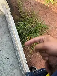 boladeouro126 — Stripchat profile photo