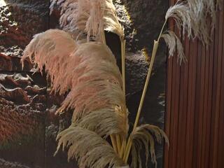 Ema Malkova — Flirt4free stream photo (Mar 2026)