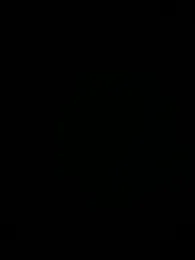 donnautrecht — Stripchat stream photo (Aug 2026)