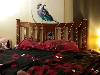 ashlee_james — Stripchat stream photo (Apr 2026)