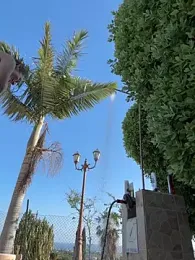 MrAndMrsSavage — вебкам-модель онлайн на stripchat