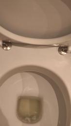 francesc80 — вебкам-модель онлайн на cam4