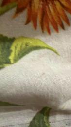 koko094 — Cam4 stream photo (Mar 2026)