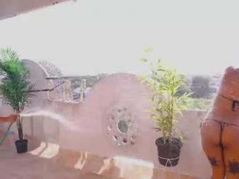 wayuu_goddess — Chaturbate stream photo (Aug 2026)