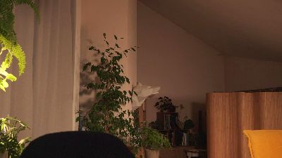 Yulla — Cam4 stream photo (Aug 2026)