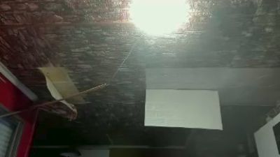 morenobarca8484 — Cam4 stream photo (Jun 2026)