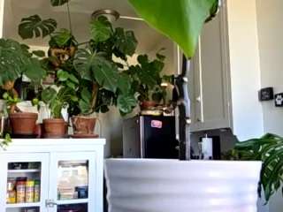 sexysagittarius1212 — Camsoda recorded stream image, 21.05.2025 22:30