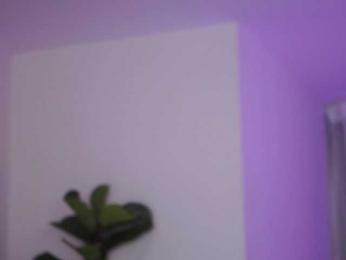 NicoleSarahX — Bongacams recorded stream image, 09.02.2025 01:00