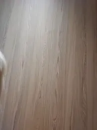 Nathotsexy1 — Stripchat recorded stream image, 03.06.2025 07:50