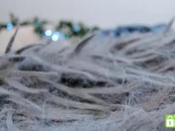 pinkncrazy — Chaturbate recorded stream screenshot (10 Feb 2025)