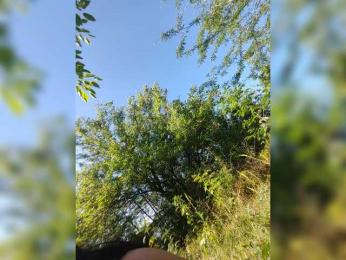 Cleopatra1990 — Bongacams recorded stream image, 27.06.2025 10:50