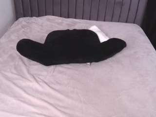 january-rose — Camsoda recorded stream image, 28.06.2025 02:10