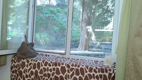 Eva_Golden — Stripchat recorded stream screenshot (06 Jul 2025)