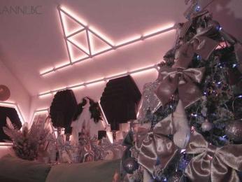 Taanni — Bongacams recorded stream image, 26.01.2025 22:50