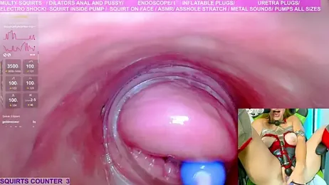 MaryBrook1 — Stripchat recorded stream image, 27.07.2025 20:40