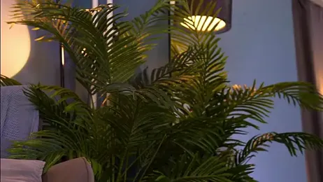 _keeti_ — Stripchat recorded stream image, 31.07.2025 05:40