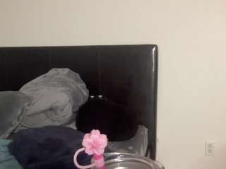 t1ger — Camsoda recorded stream image, 04.08.2025 23:30