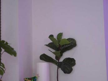 NicoleSarahX — Bongacams recorded stream image, 13.02.2025 19:50