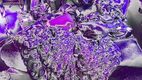 bukkakebae1 — Stripchat recorded stream screenshot (12 Aug 2025)