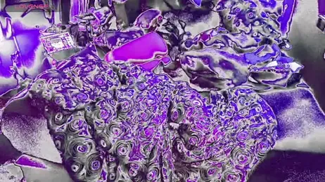 bukkakebae1 — Stripchat recorded stream screenshot (12 Aug 2025)