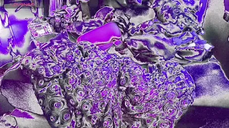 bukkakebae1 — Stripchat recorded stream screenshot (12 Aug 2025)