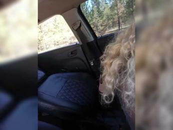 _AMBASSADOR_ — Bongacams recorded stream screenshot (15 Aug 2025)