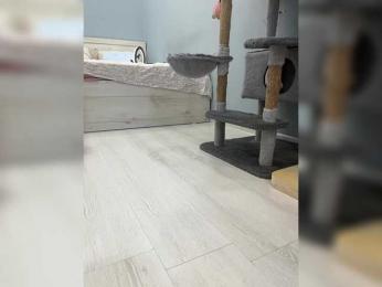 CuteKitty00 — Bongacams recorded stream image, 18.08.2025 23:50
