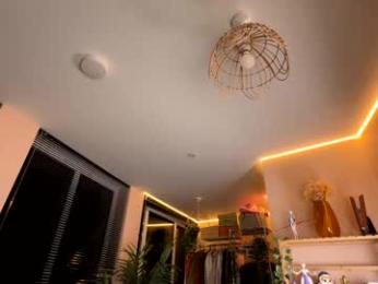 vixenp — Chaturbate recorded stream screenshot (21 Aug 2025)