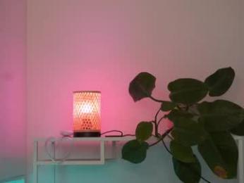 sonya_kelsey — Chaturbate recorded stream image, 14.02.2025 12:10