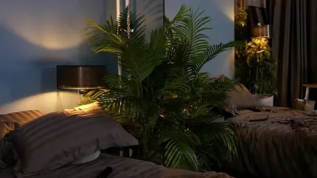 _keeti_ — Stripchat recorded stream image, 04.09.2025 17:00