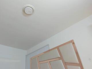 Alisson Mendez — Flirt4free recorded stream screenshot (05 Sep 2025)