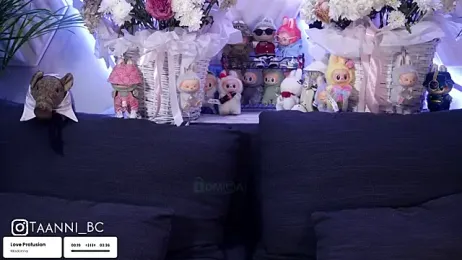 taanni_bc — Stripchat recorded stream image, 08.09.2025 00:00