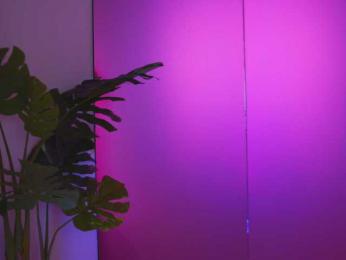 NatyDesiree — Bongacams recorded stream screenshot (16 Feb 2025)