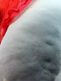 Love86Emily — Stripchat recorded stream screenshot (11 Sep 2025)