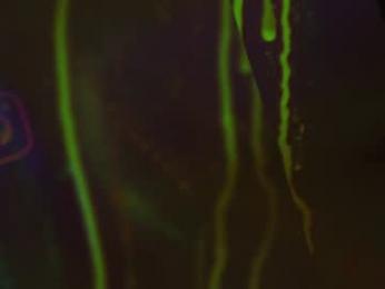 heybanan — Chaturbate recorded stream image, 12.09.2025 17:40